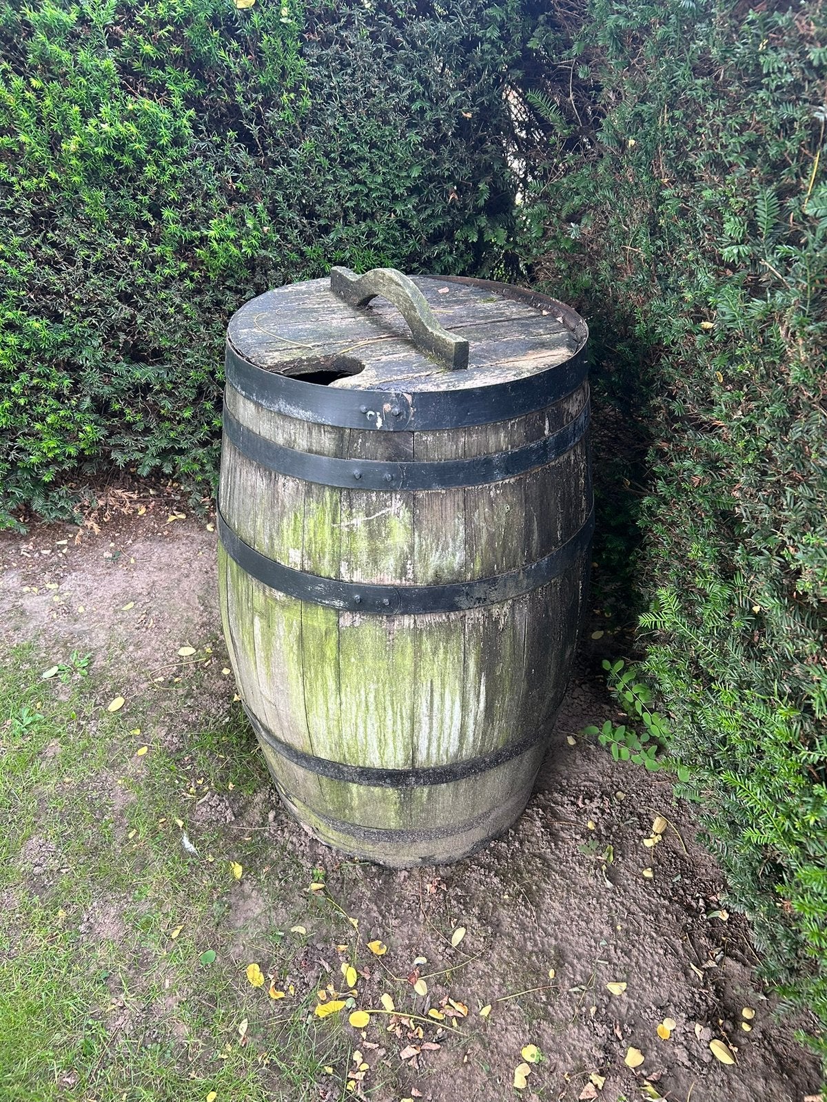 Regenton Gratis, Tuin en Terras, 150 liter of meer, Ophalen, Gebruikt