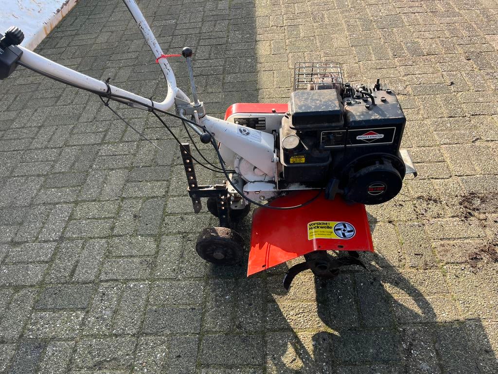 Tuinfrees, Ophalen of Verzenden, Gebruikt