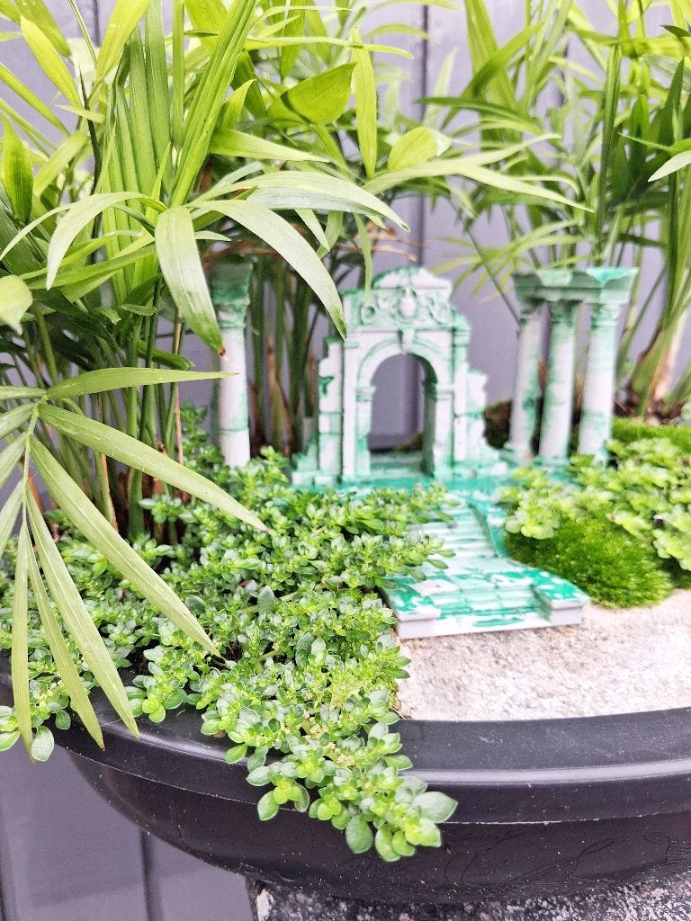 Bonsai Zen Landschap- Mini Chamaedorea Elegans- Kamerpalm, Ophalen, Halfschaduw, In pot, Minder dan 100 cm