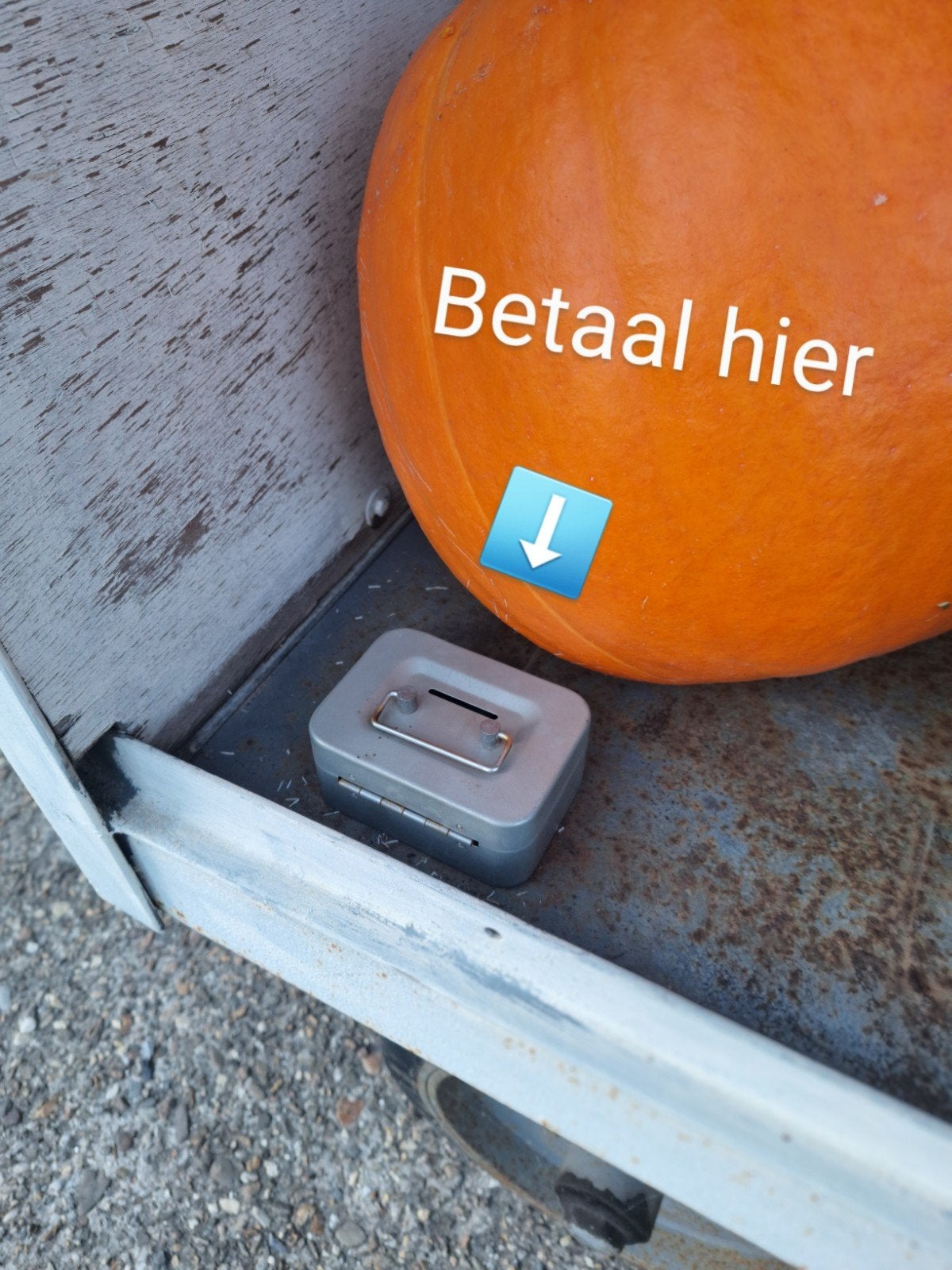 Pompoenen en kalebassen, Tuin en Terras, Ophalen, Nieuw