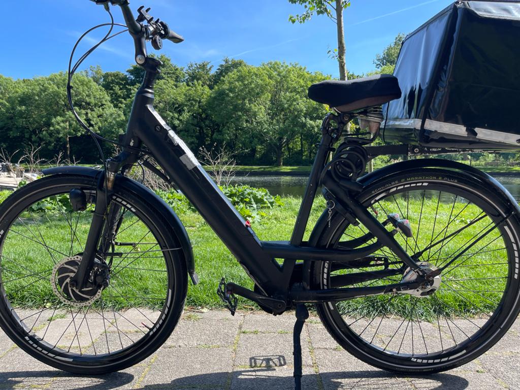 electric bicycle-elektrische bezorgfiets-Ebike4Delivery, Ophalen of Verzenden, Gebruikt, Overige merken