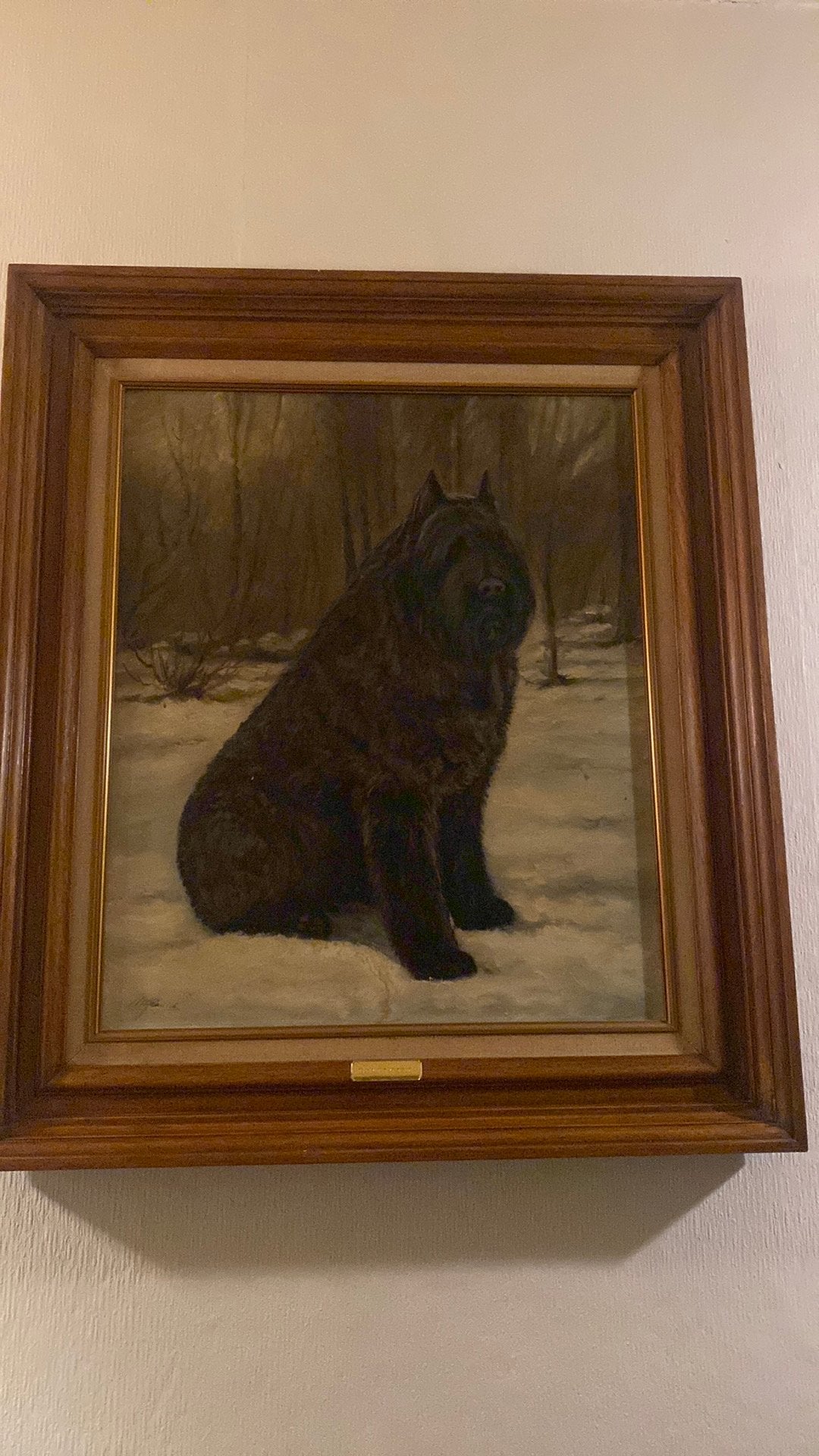 Schilderij bouvier, Ophalen, Doek, Dieren, Klassiek