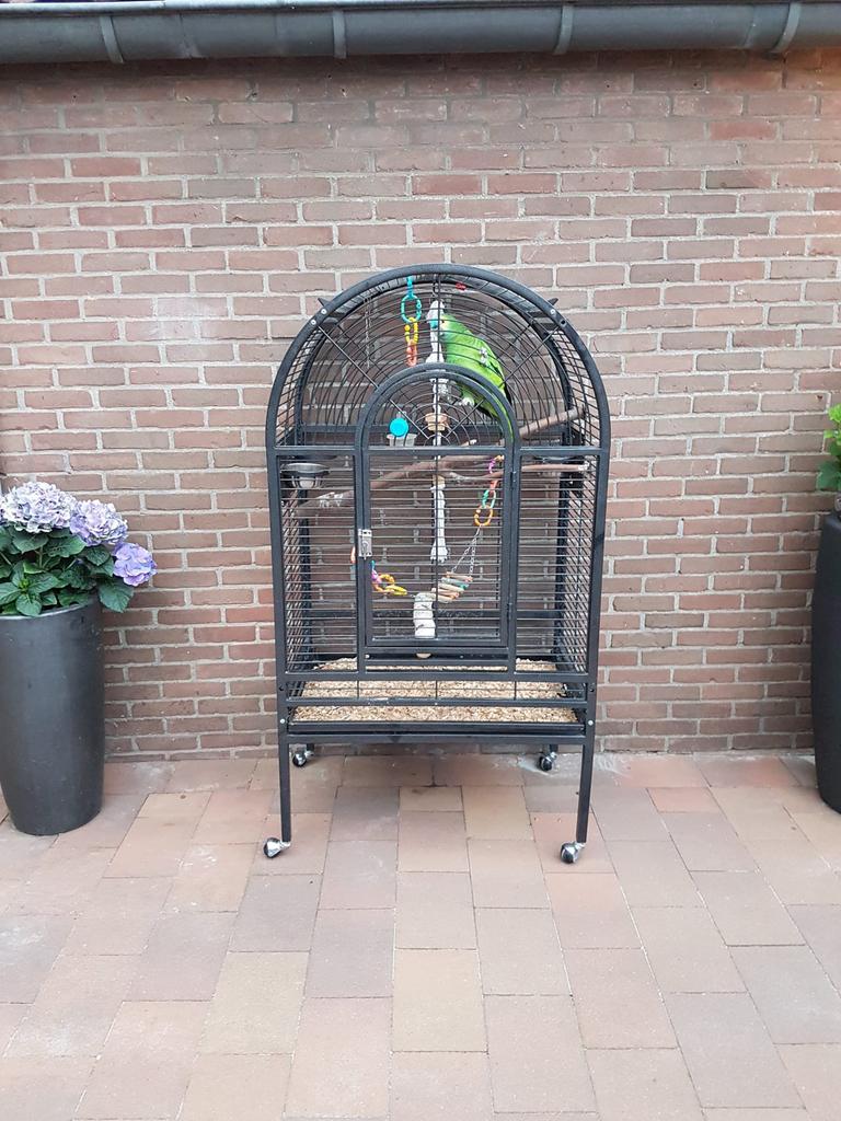 Pappegaai kooi, Ophalen of Verzenden, Zo goed als nieuw