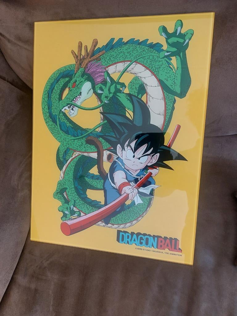 Dragon Ball glasplaat, Ophalen of Verzenden, Zo goed als nieuw