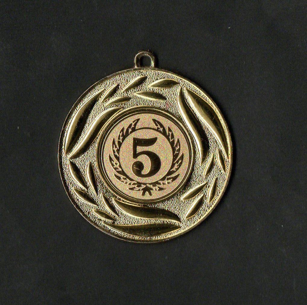Medaille Steenwijk 5e Avondvierdaagse Goud., Verzamelen, Ophalen of Verzenden, Zo goed als nieuw