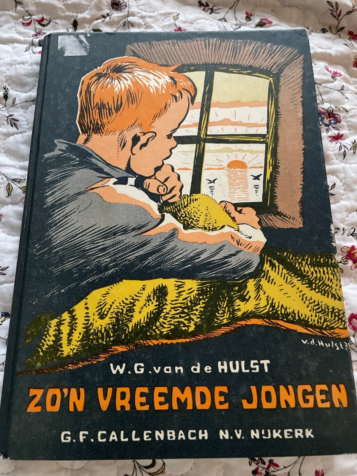 Zo'n Vreemde Jongen - W.G. van de Hulst (Negende Druk), Ophalen of Verzenden, Gelezen, Fictie algemeen