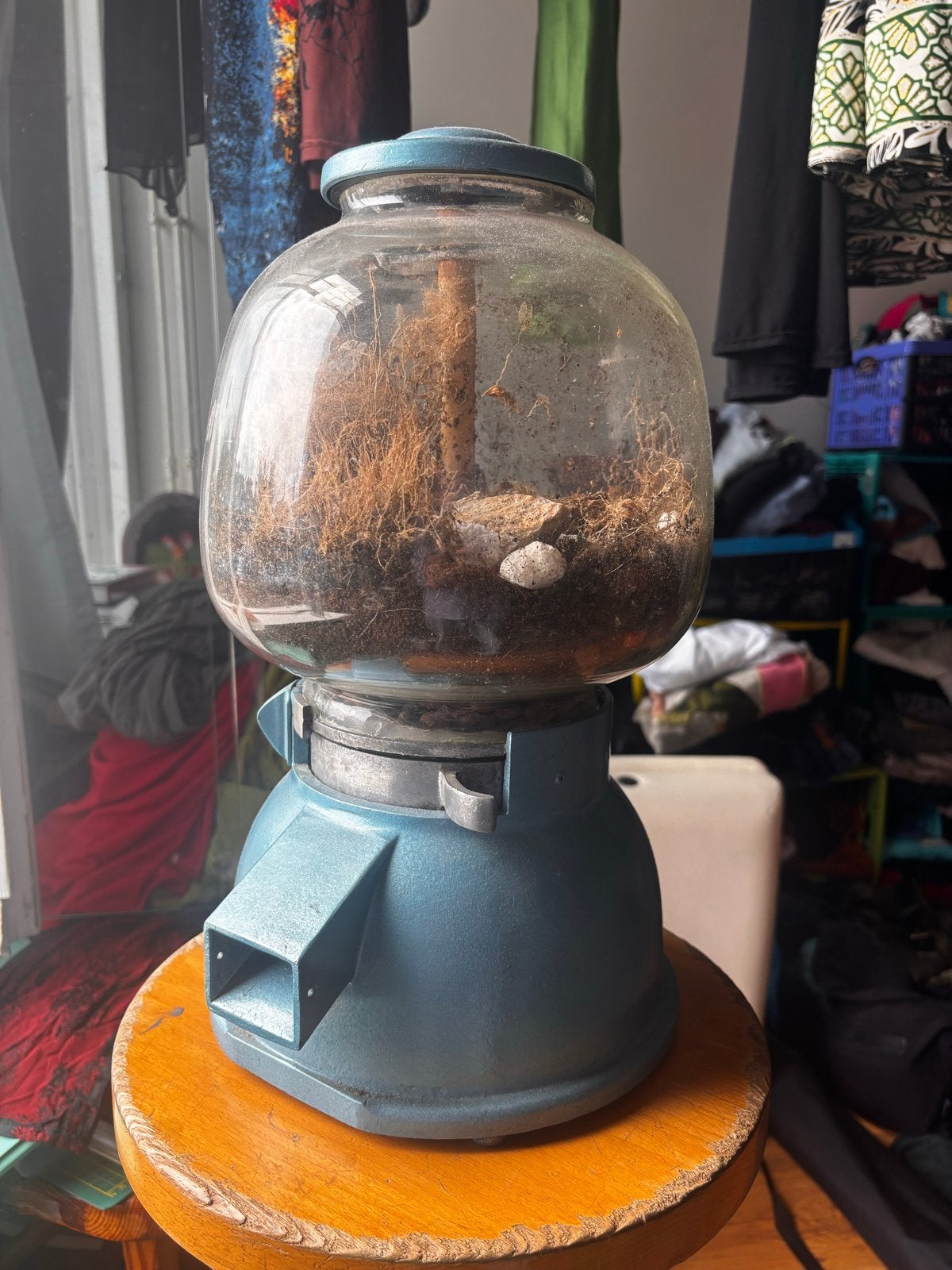 Vintage kauwgomballen machine met moestuin, Ophalen, Gebruikt