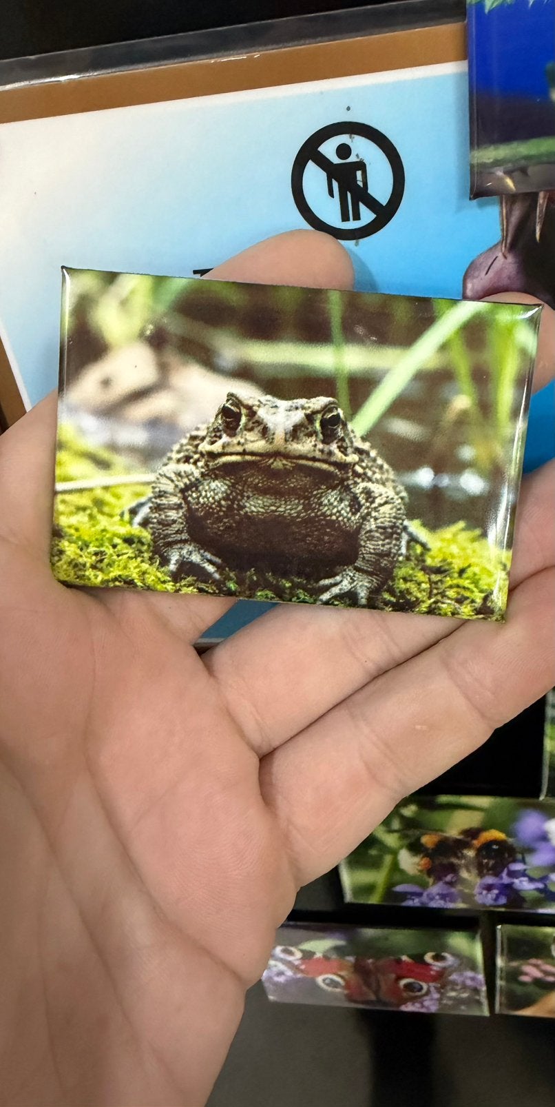 Nieuw bij Aquariumplantenshop: Wildlife Explorer!, Ophalen of Verzenden, Nieuw, Jongen of Meisje