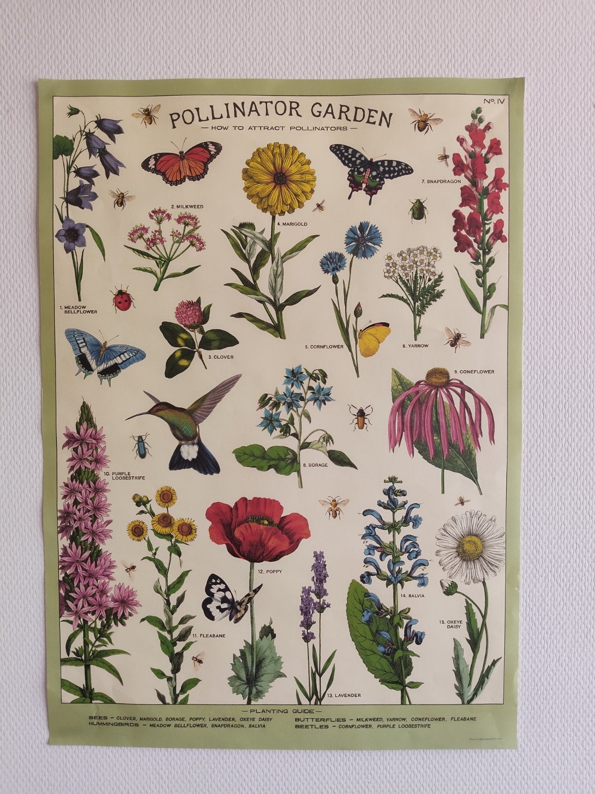 Vintage 'Pollinator Garden' Poster - Bloemen en Insecten, Ophalen, A1 t/m A3, Dier of Natuur, Rechthoekig Staand