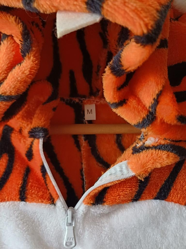 Verkleed kleding, Kinderen en Baby's, Carnavalskleding en Verkleedspullen, Ophalen of Verzenden, Zo goed als nieuw, 170 of groter