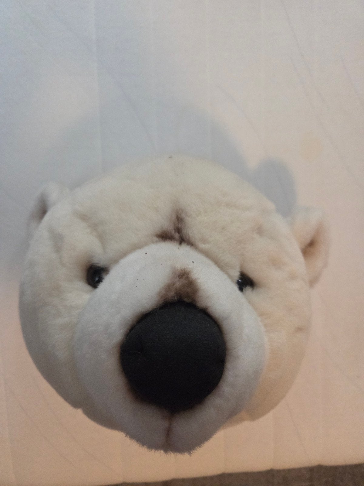 dierenhoofd, Ophalen, Zo goed als nieuw, Lamp