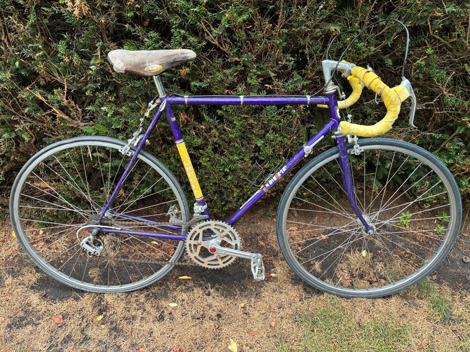 Vintage koersfiets thompsom, Ophalen, Jaren '60 of nieuwer, Velgrem, 51 tot 55 cm