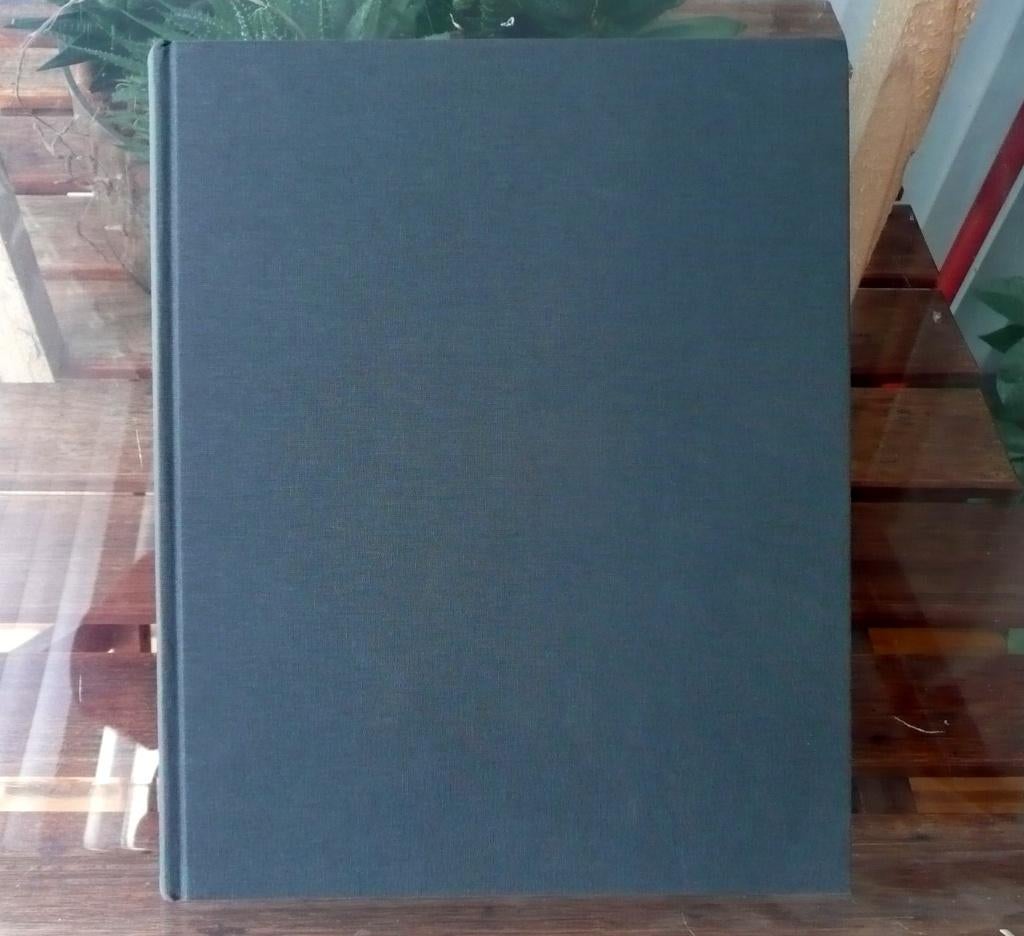 B&O: Bang & Olufsen  From Spark to Icon (36E5), Ophalen of Verzenden, Gelezen, Europa