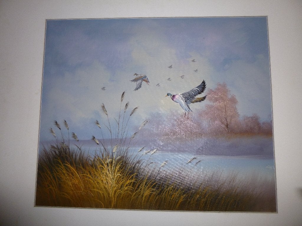 tekoop diversen schilderijen van 50 cm bij 60 cm zie foto, Antiek en Kunst, Kunst | Schilderijen | Klassiek, Ophalen, Overige stijlen