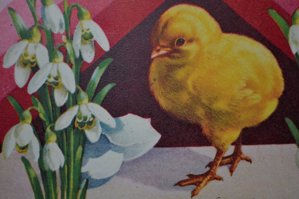 belgie 1930 pasen kuiken en sneeuwklokjes, Verzamelen, Ophalen of Verzenden, 1920 tot 1940, Gelopen, Sterren en Beroemdheden