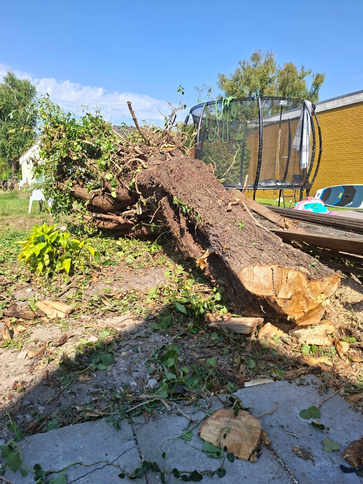 Gratis hout. (zelf zagen), Tuin en Terras, Minder dan 3 m³, Ophalen of Verzenden