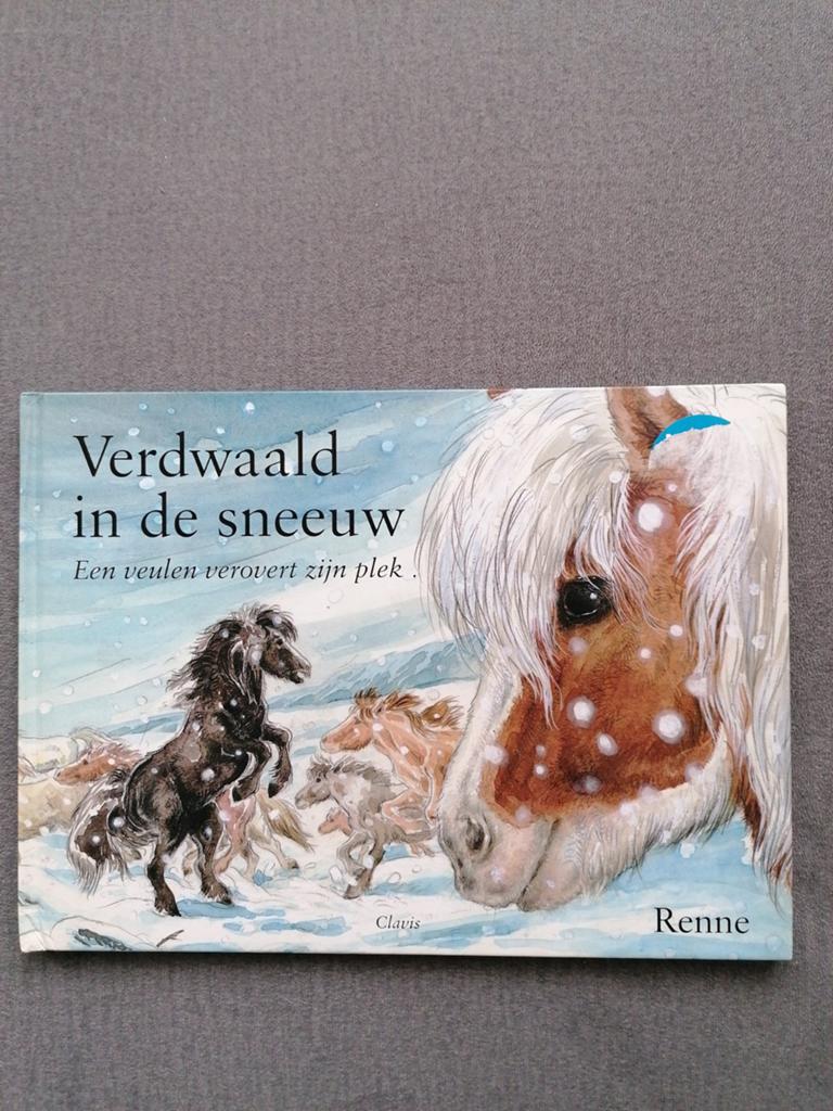 Verdwaald in de sneeuw Renne Clavis, Ophalen of Verzenden, Non-fictie