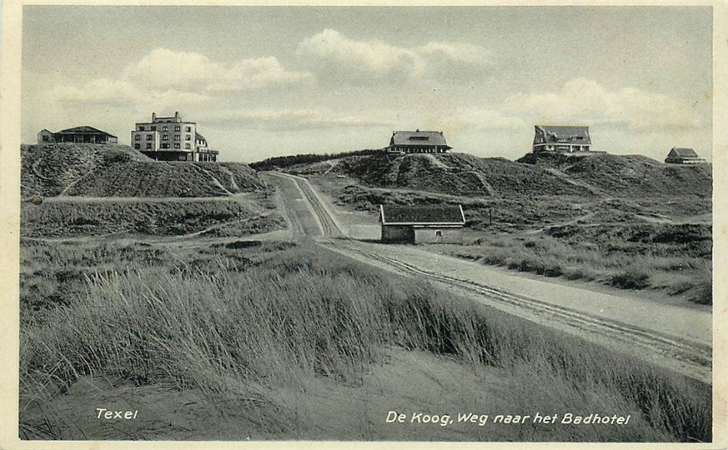 379-239-031 Texel De Koog, Ophalen of Verzenden, Voor 1920, Noord-Holland