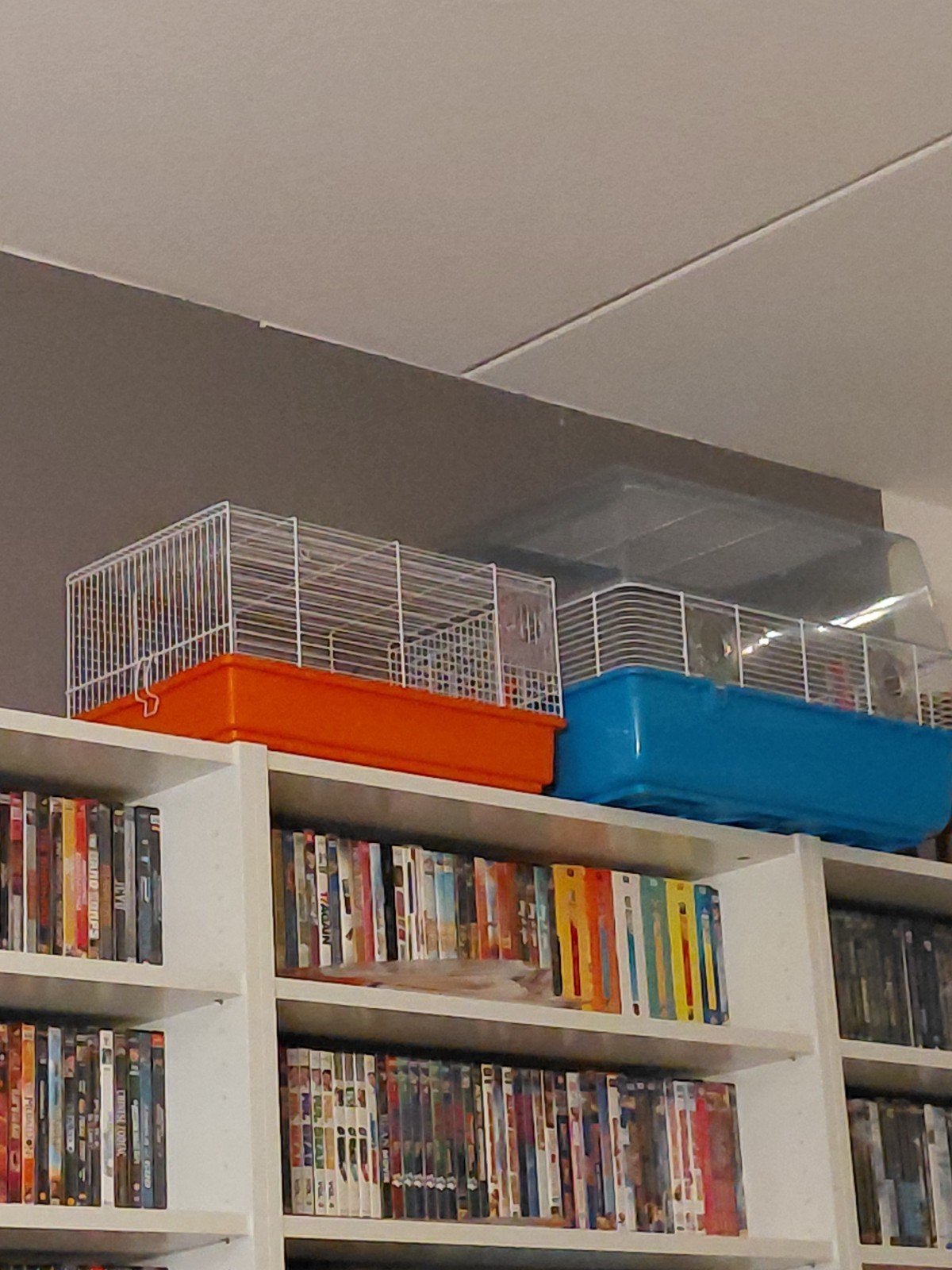 2hamster kooien, Ophalen, Gebruikt