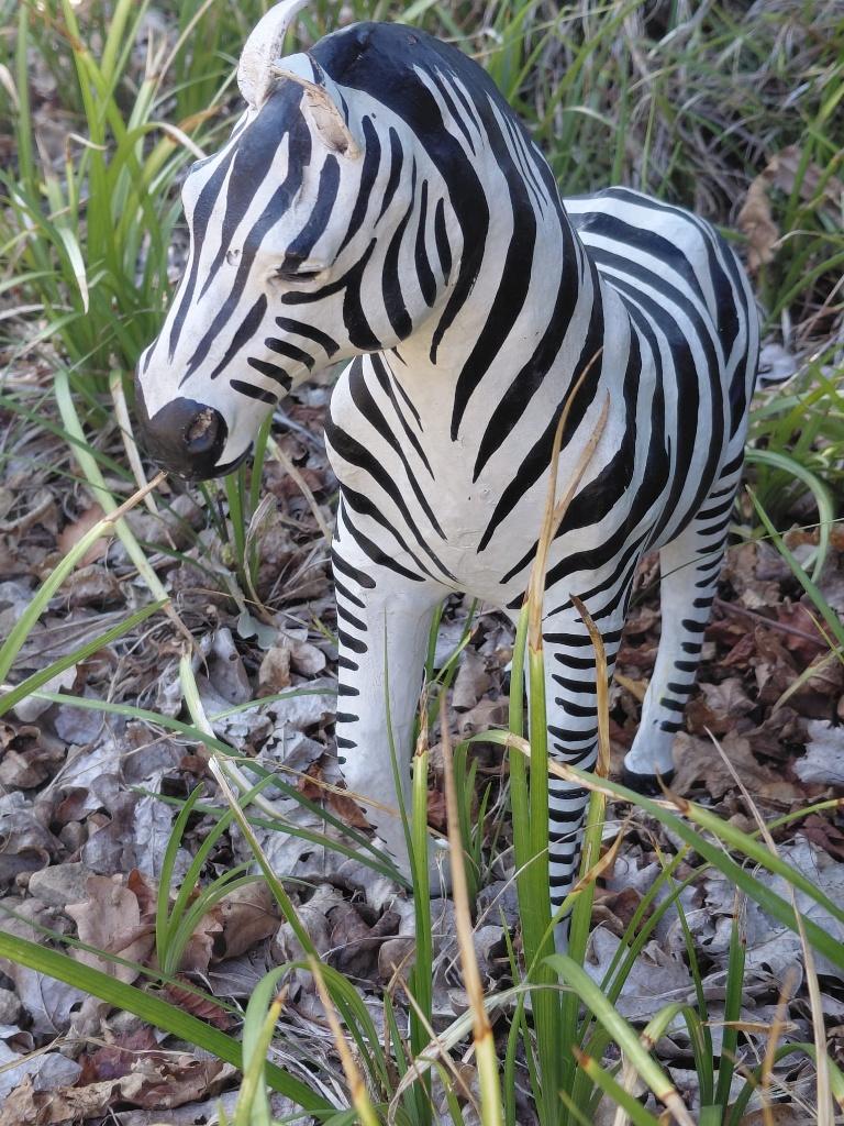 Vintage lederen zebra met glazen ogen - Afrikaanse kunst, Antiek en Kunst, Curiosa en Brocante, Ophalen of Verzenden