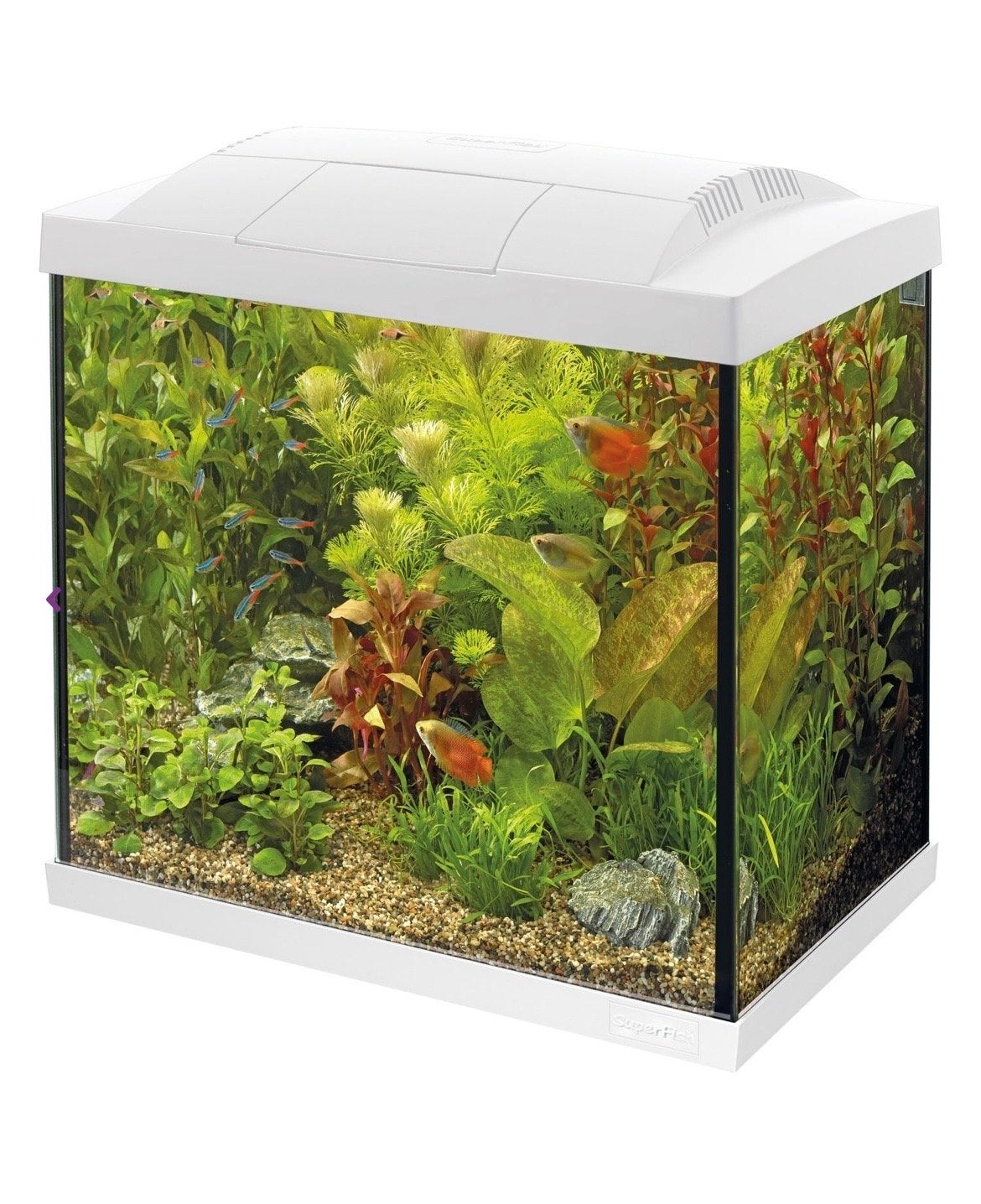 Superfish Aquarium start 50, Dieren en Toebehoren, Ophalen, Inclusief toebehoren, Aquariummeubel, Superfish