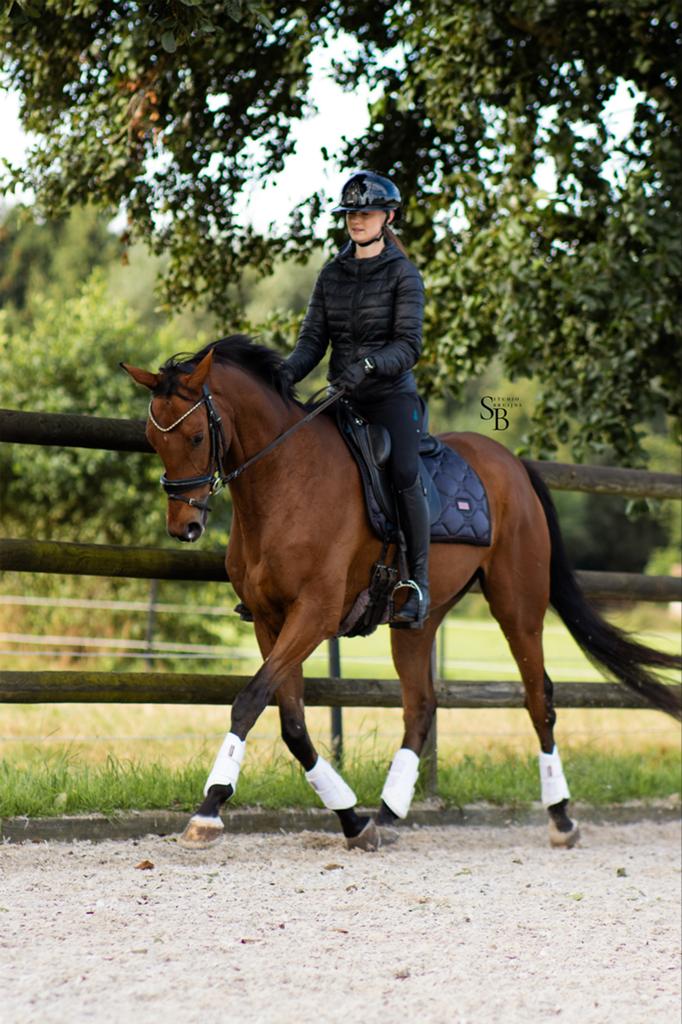 Super lieve ruin, Dieren en Toebehoren