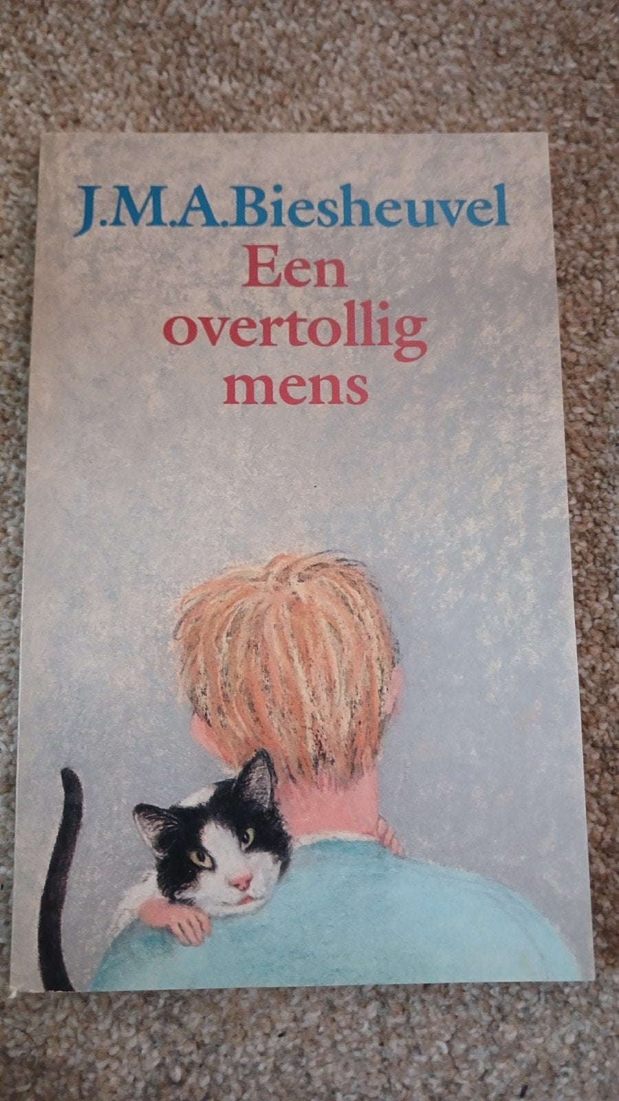 J.M.A Biesheuvel een overtollig mens, Ophalen of Verzenden, Gelezen