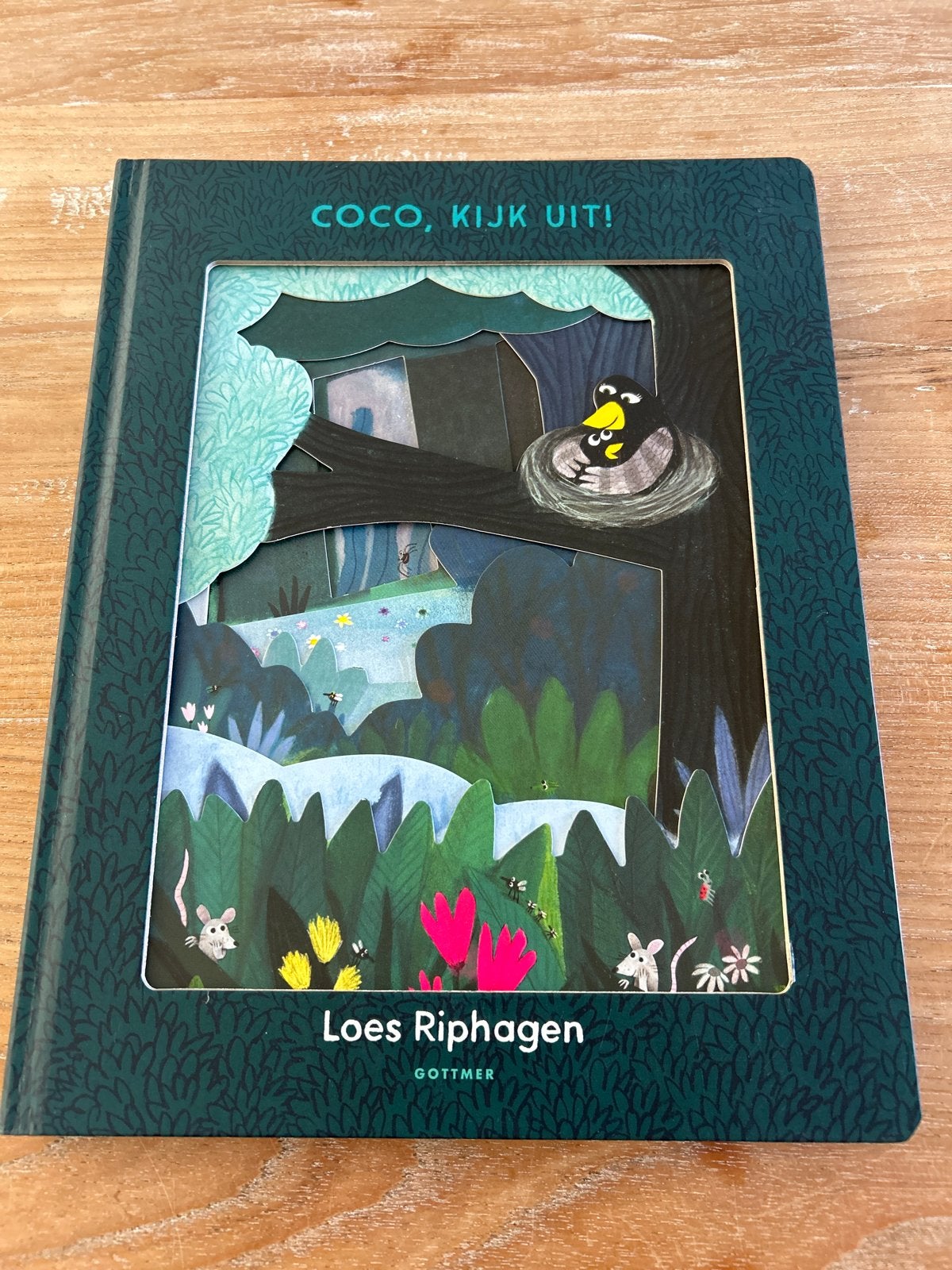 Coco, Kijk Uit! - Loes Riphagen (Zo goed als nieuw), Fictie algemeen, Uitklapboek, Jongen of Meisje, Ophalen of Verzenden