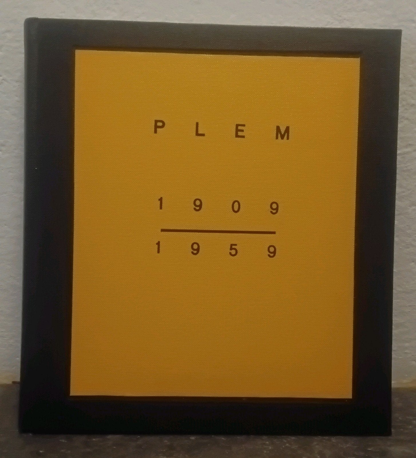 PLEM 19O9 - 1959  50 JAAR PROV.LIMB. ELECTRICITEITS MAATSCH., Boeken, Geschiedenis | Stad en Regio, Ophalen of Verzenden
