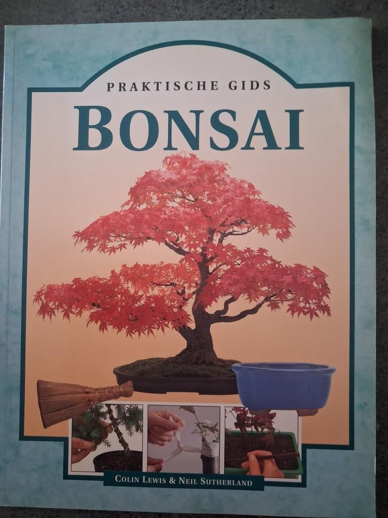 C. Lewis - Bonsai, C. Lewis, Bloemen, Planten en Bomen, Ophalen of Verzenden, Zo goed als nieuw