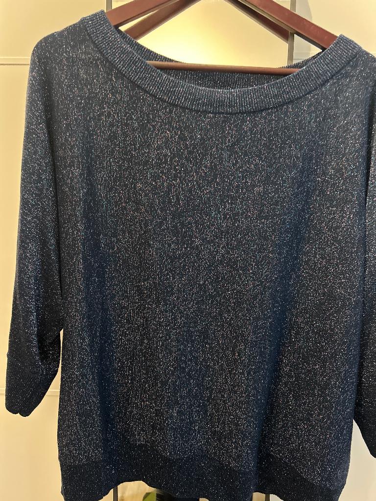 Shoeby glitter trui maat XXL, Ophalen, Blauw, Maat 46/48 (XL) of groter, Zo goed als nieuw