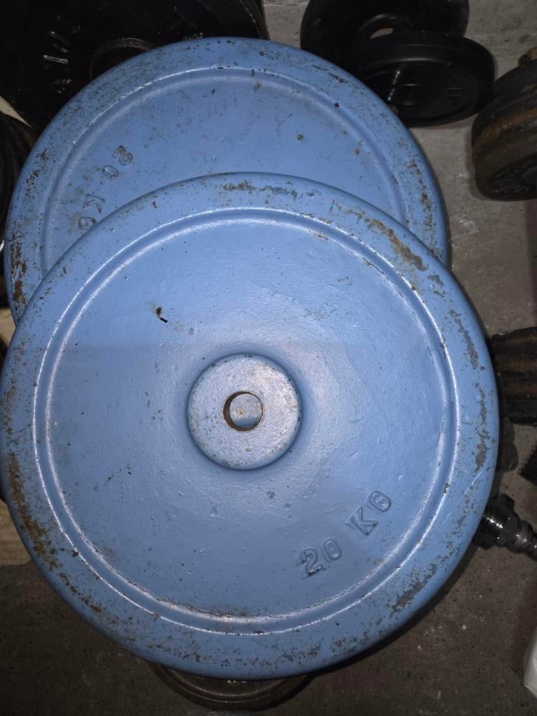 2x 20 kg halterschijven 28mm boring, Ophalen, Gebruikt, Rug, Halterschijven