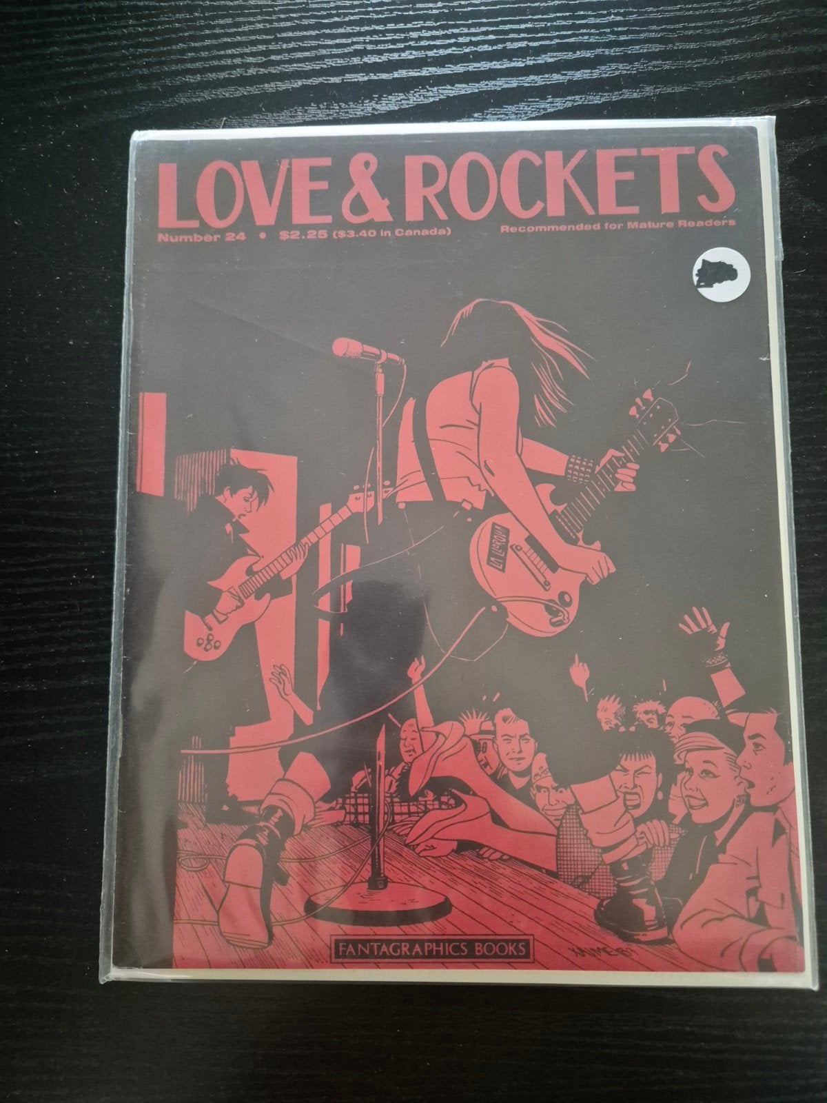 Love & Rockets #24 - Fantagraphics Books (Engels), Boeken, Stripboeken, Ophalen of Verzenden