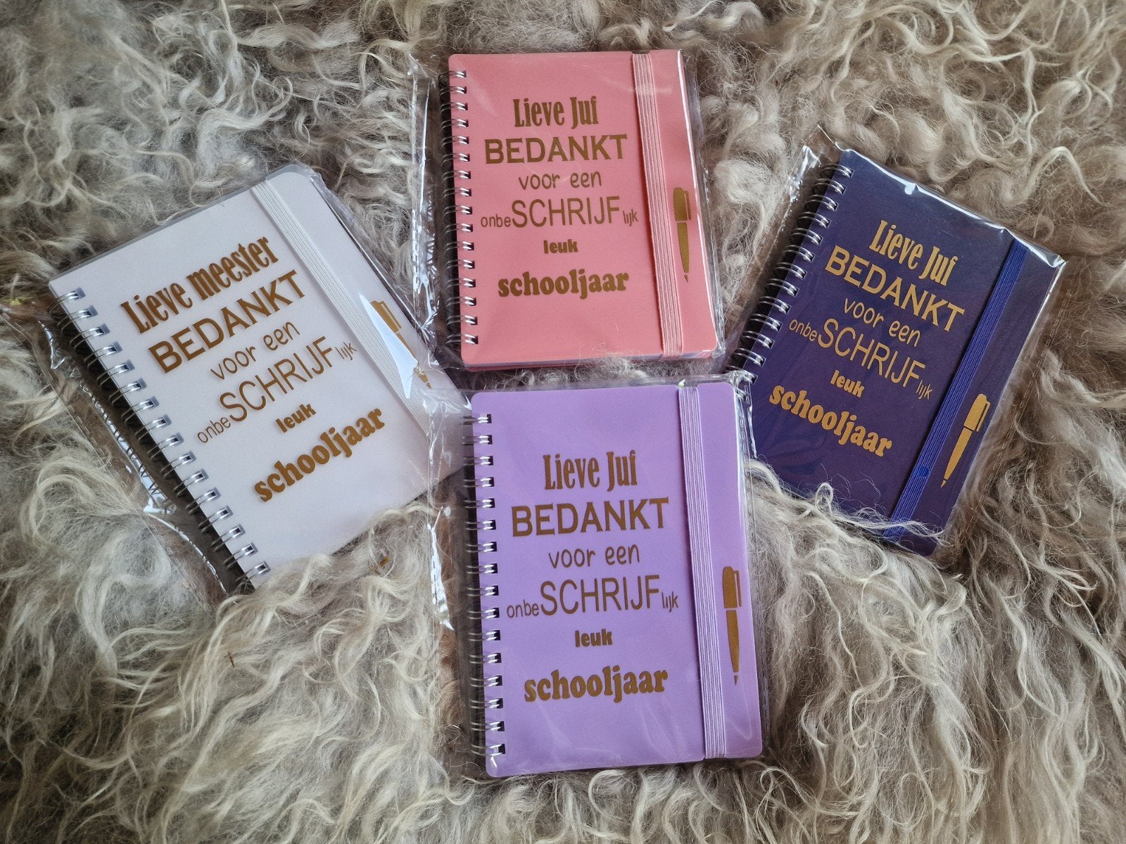 Leuk schrijf schriftje afscheid einde schooljaar, Ophalen of Verzenden, Nieuw