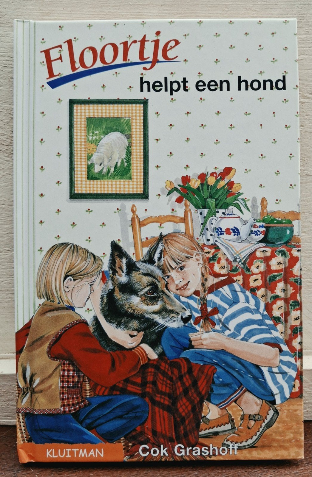 Floortje helpt een hond - Cok Grashoff (Kluitman hardcover), Ophalen of Verzenden, Gelezen, Cok Grashoff, Fictie algemeen