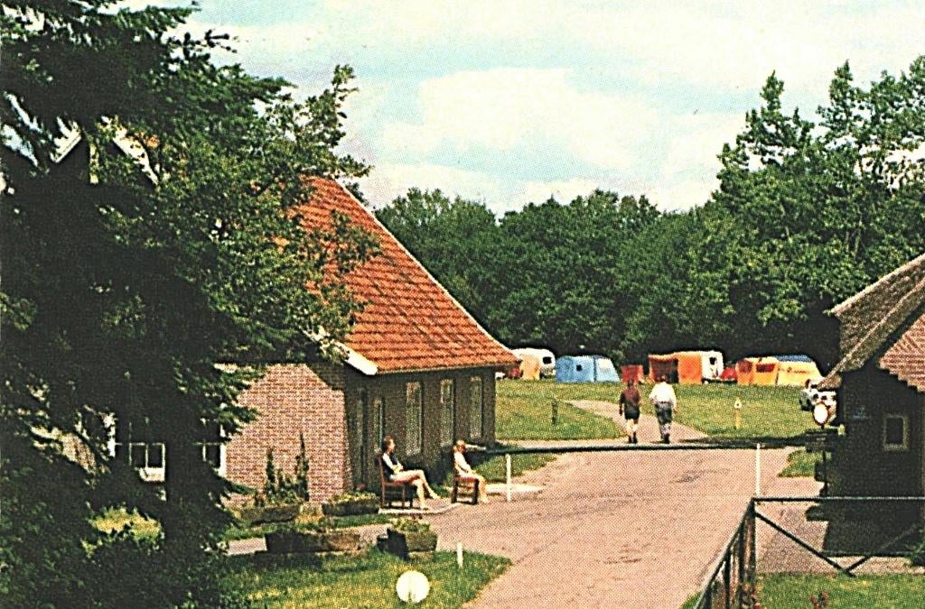 802382 Ommen Ov 1967 De Stekkenkamp  Stempel Lemelerveld, Verzamelen, Ansichtkaarten | Nederland, Ophalen of Verzenden, Voor 1920