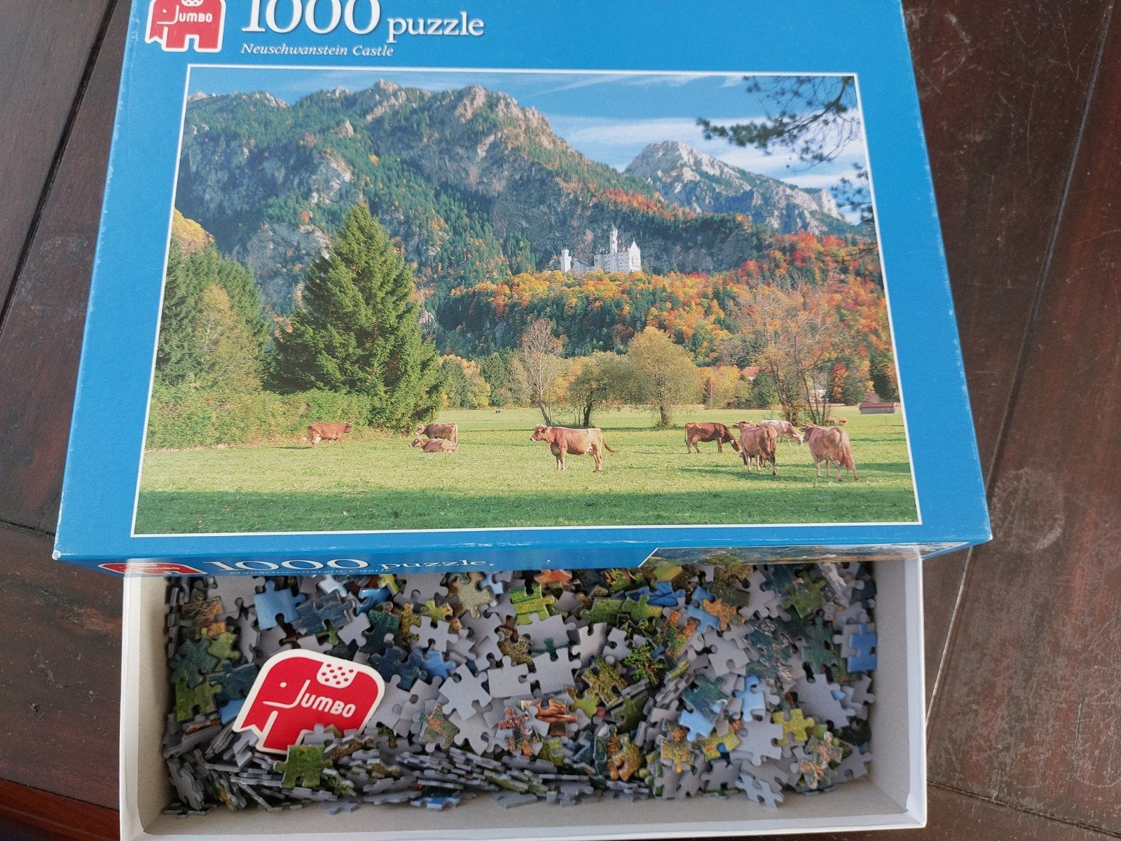 Puzzel van jumbo 1000stukjes, Ophalen of Verzenden, 500 t/m 1500 stukjes, Zo goed als nieuw