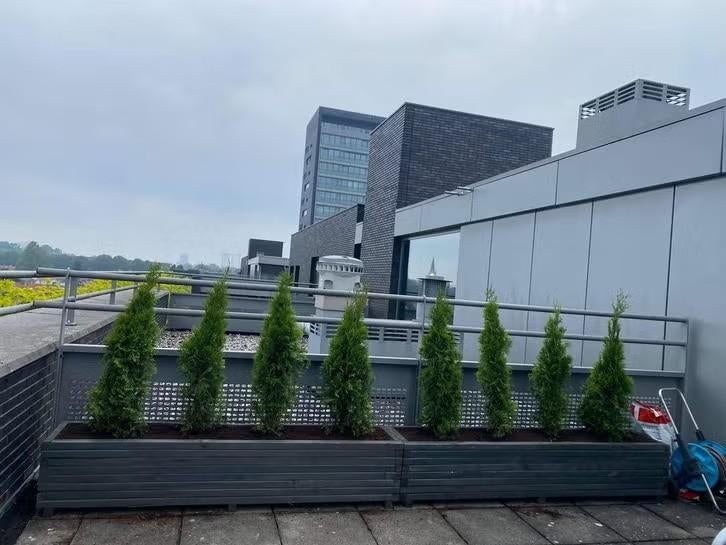 Plantenbak met klimrek – ideaal voor tuin + 20% korting, Minder dan 30 cm, Rond, Nieuw, Ophalen of Verzenden