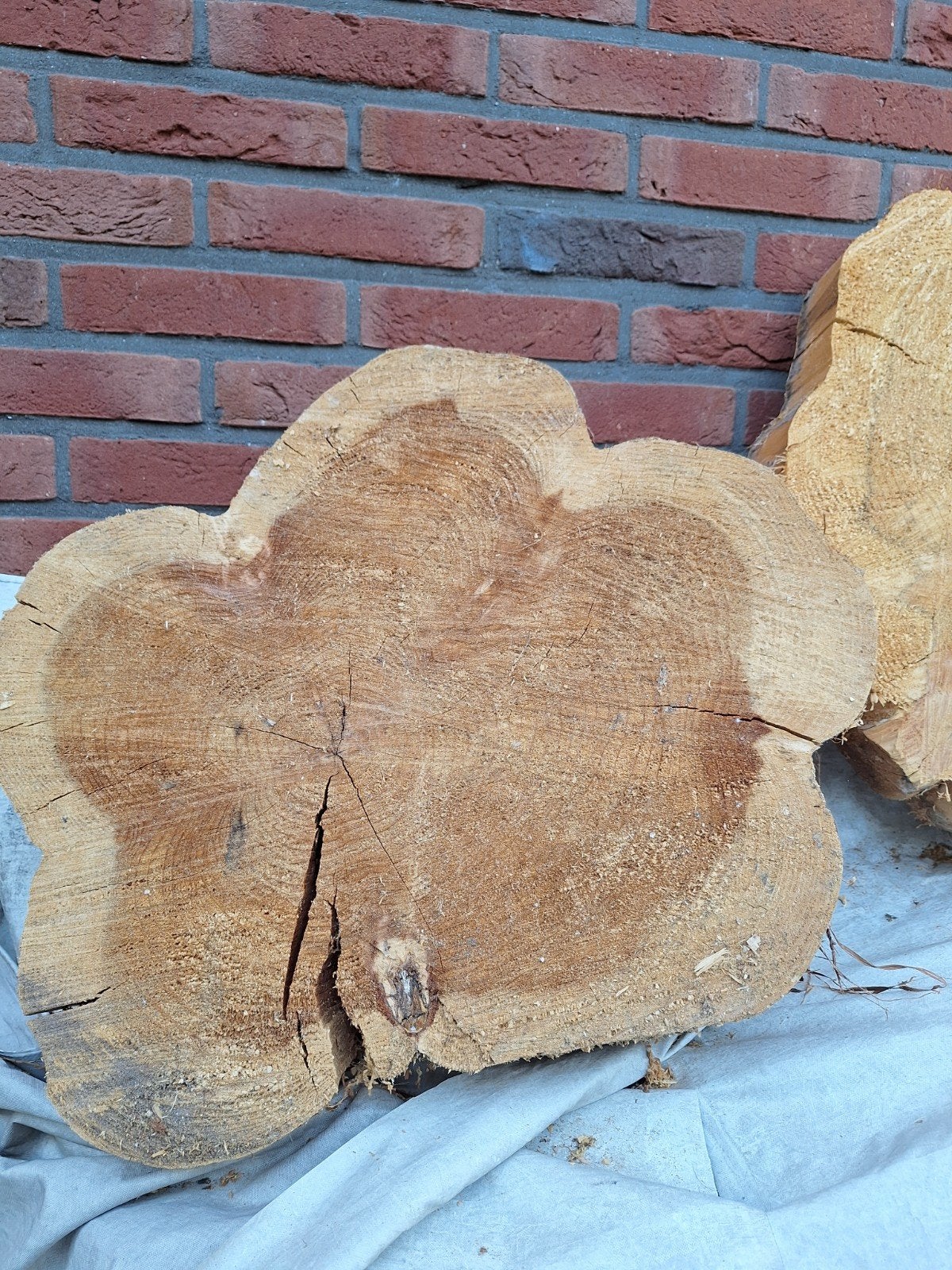 Decoratieve houtschijven van boomstam, Minder dan 3 m³, Ophalen of Verzenden, Overige houtsoorten, Stammen