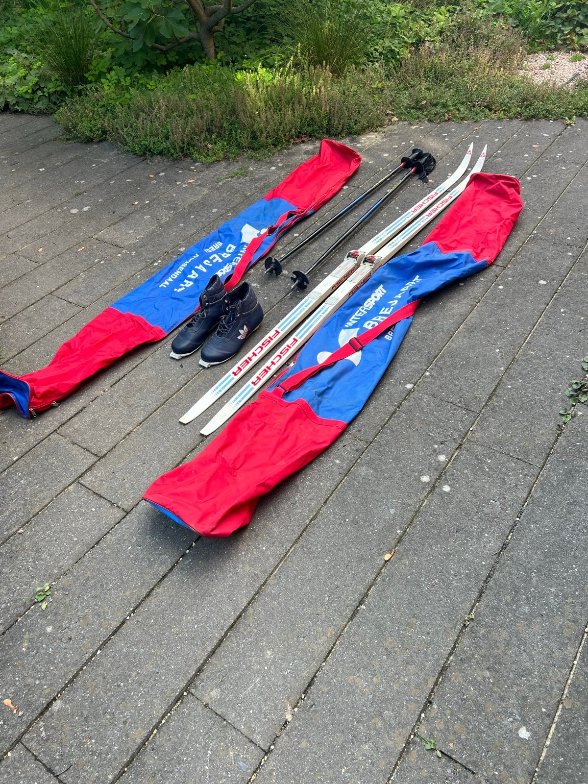 Fischer langlaufski's met schoenen en stokken, Ophalen, Ski's, Fischer, Gebruikt