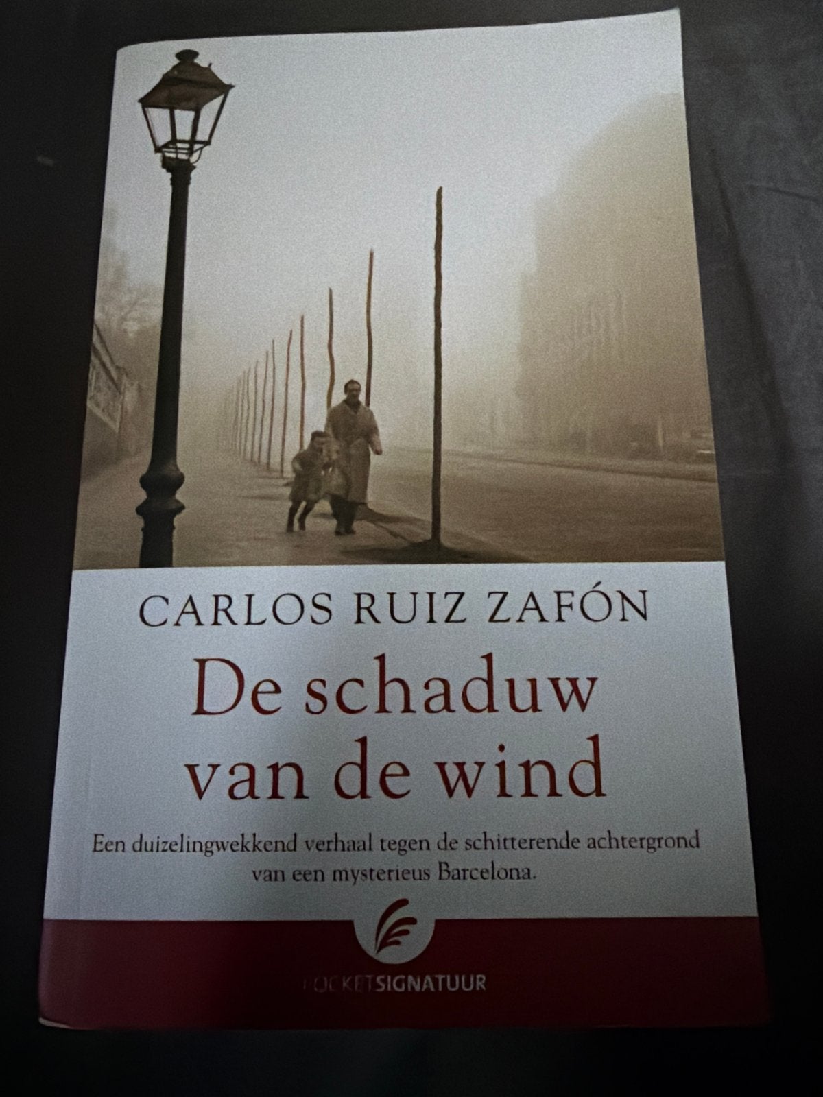 D2.   Carlos Ruiz Zafón - De schaduw van de wind, Ophalen of Verzenden, Zo goed als nieuw, Carlos Ruiz Zafón
