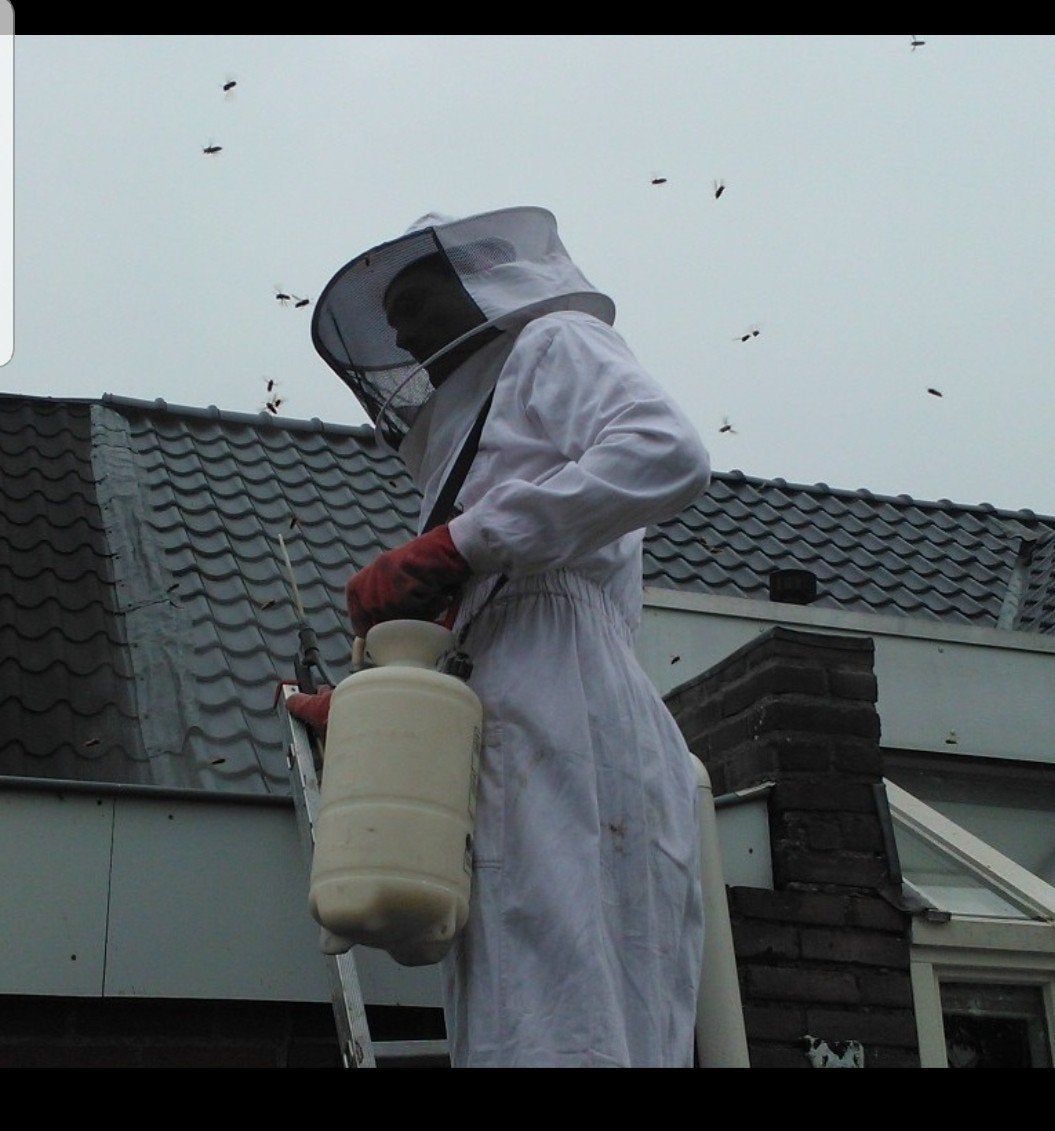 Wespennest wespen wespen bestrijding ,met garantie, Bijen