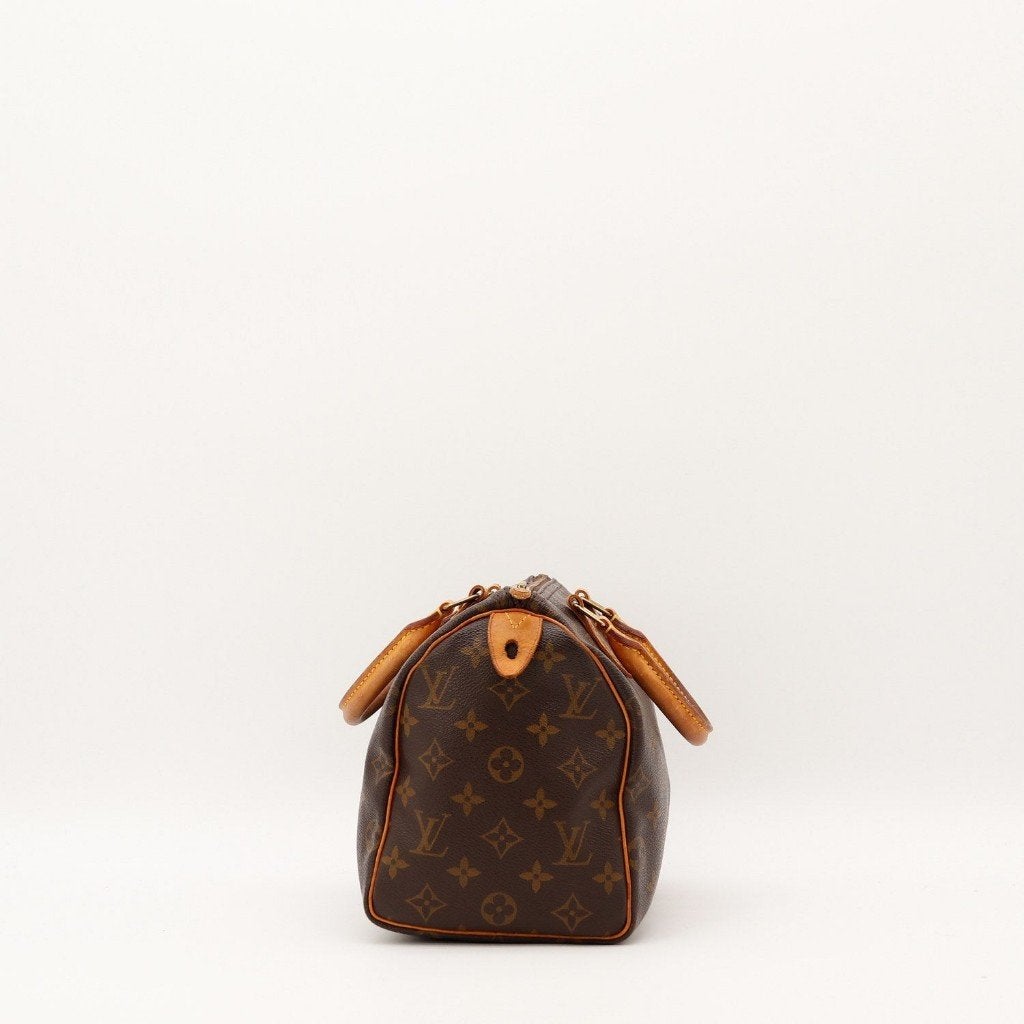 Louis Vuitton Speedy 25 karamel canvas 25x19x15 cm handtas, Verzenden, Gebruikt, Bruin, Handtas