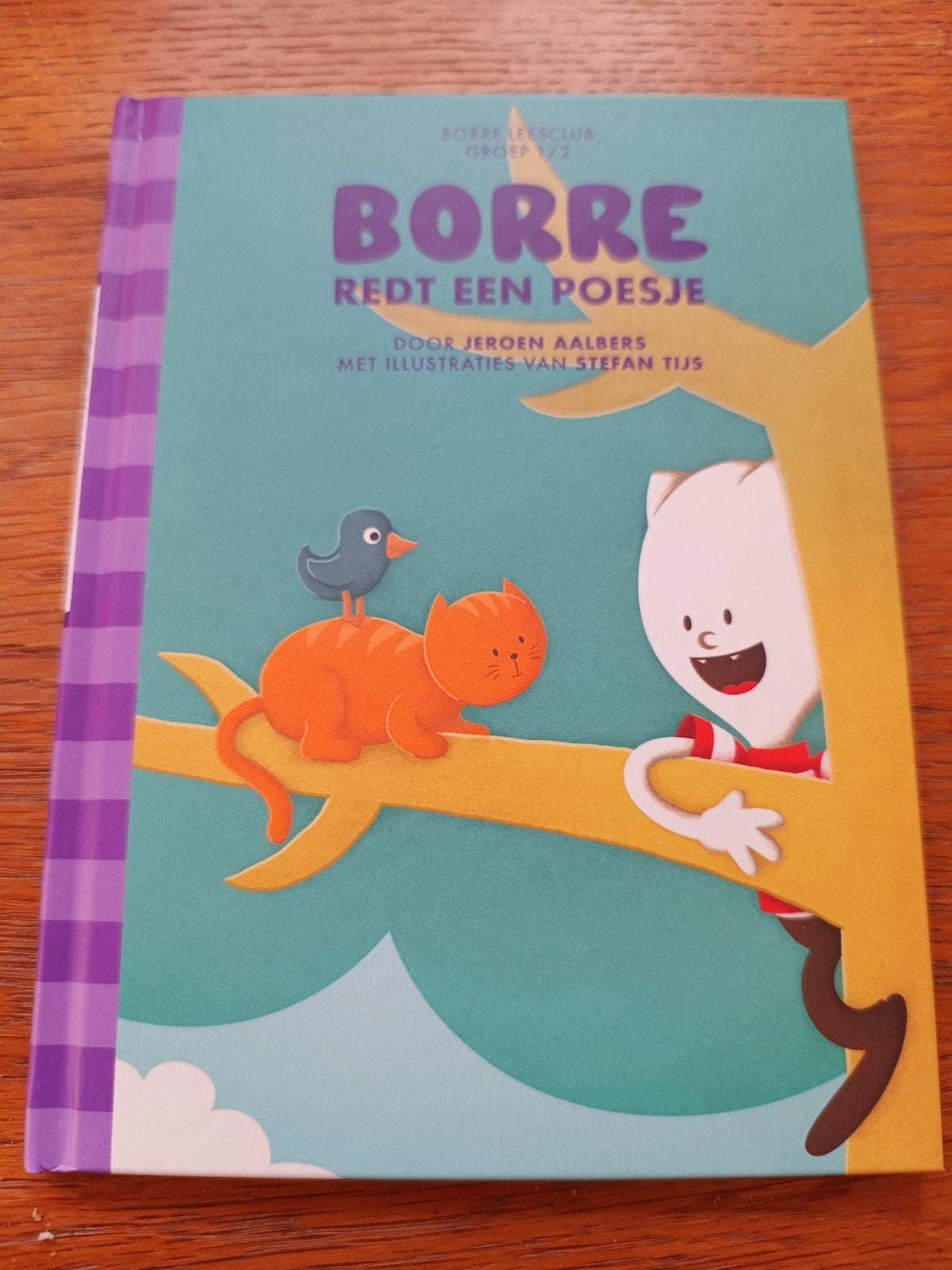 Borre redt een poesje - Borre Leesclub Groep 1/2, Fictie algemeen, Jongen of Meisje, Ophalen of Verzenden, Zo goed als nieuw