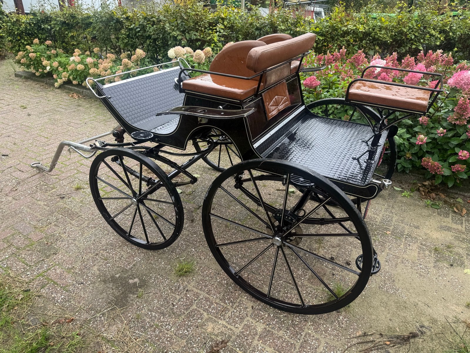 Dressuurwagen pony / marathonwagen gert jan van boven / shet, Gebruikt, Marathonwagen, Paard of Pony