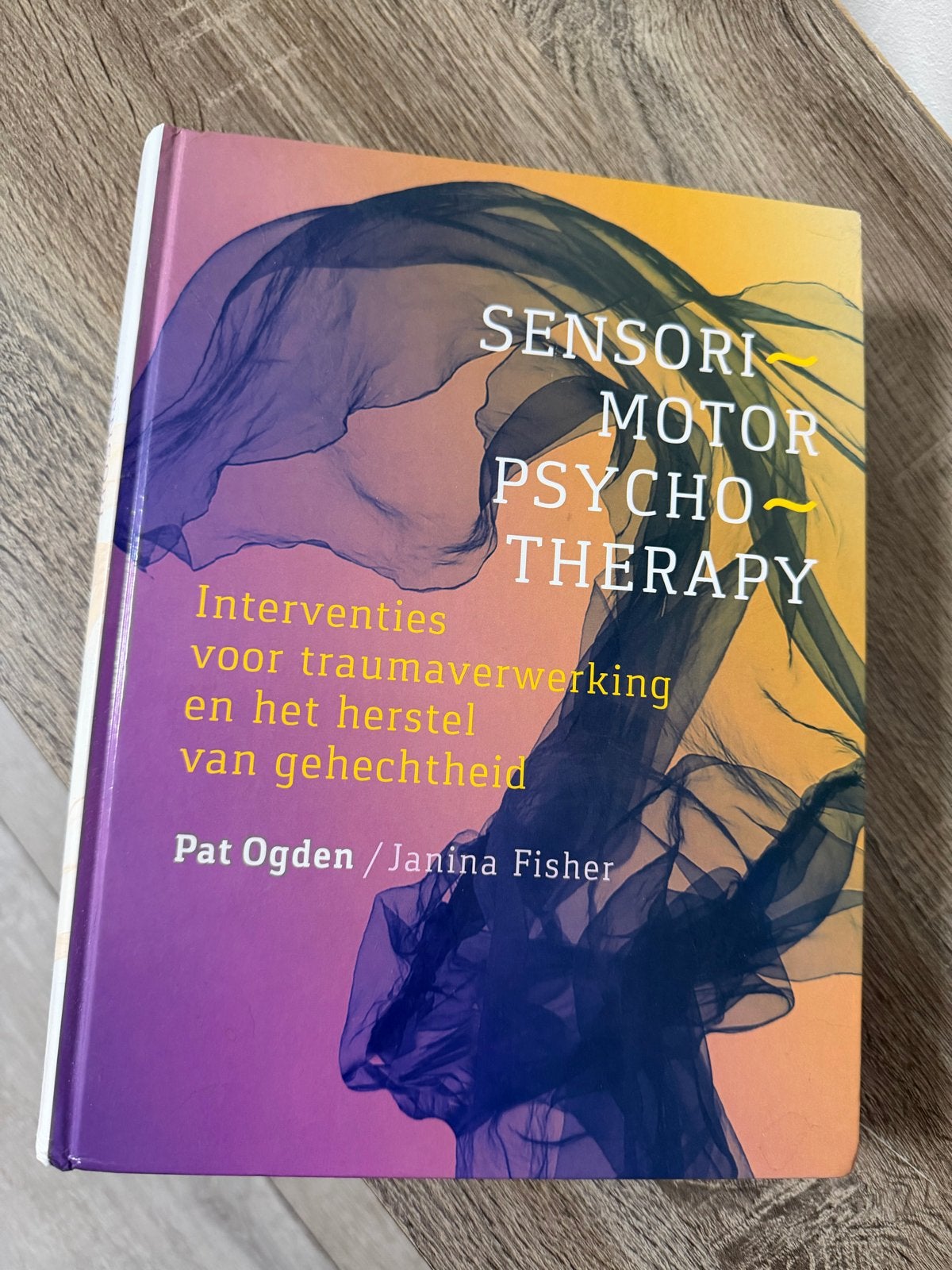 Sensorimotor Psychotherapy: Traumaverwerking & Gehechtheid, Boeken, Psychologie, Ophalen of Verzenden, Zo goed als nieuw, Klinische psychologie