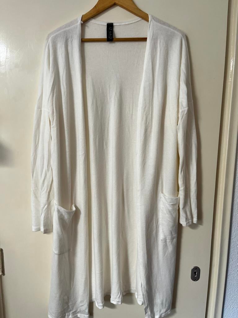 IZ NAIZ Witte Vest Maat M, Kleding | Dames, Truien en Vesten, Gedragen, Maat 38/40 (M), Wit, Ophalen of Verzenden