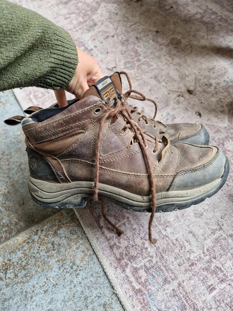 Stalschoenen Ariat 42.5, Dieren en Toebehoren, Paardrijkleding, Ophalen of Verzenden, Gebruikt, Dressuur, Schoeisel