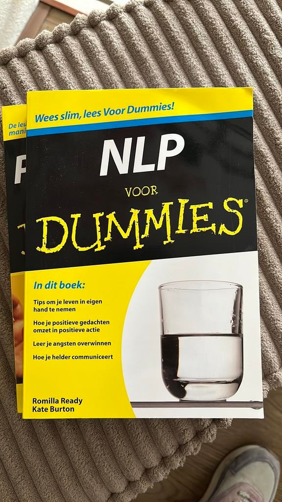 NLP voor Dummies, Ophalen of Verzenden, Romilla Ready; Kate Burton, Ontwikkelingspsychologie, Zo goed als nieuw