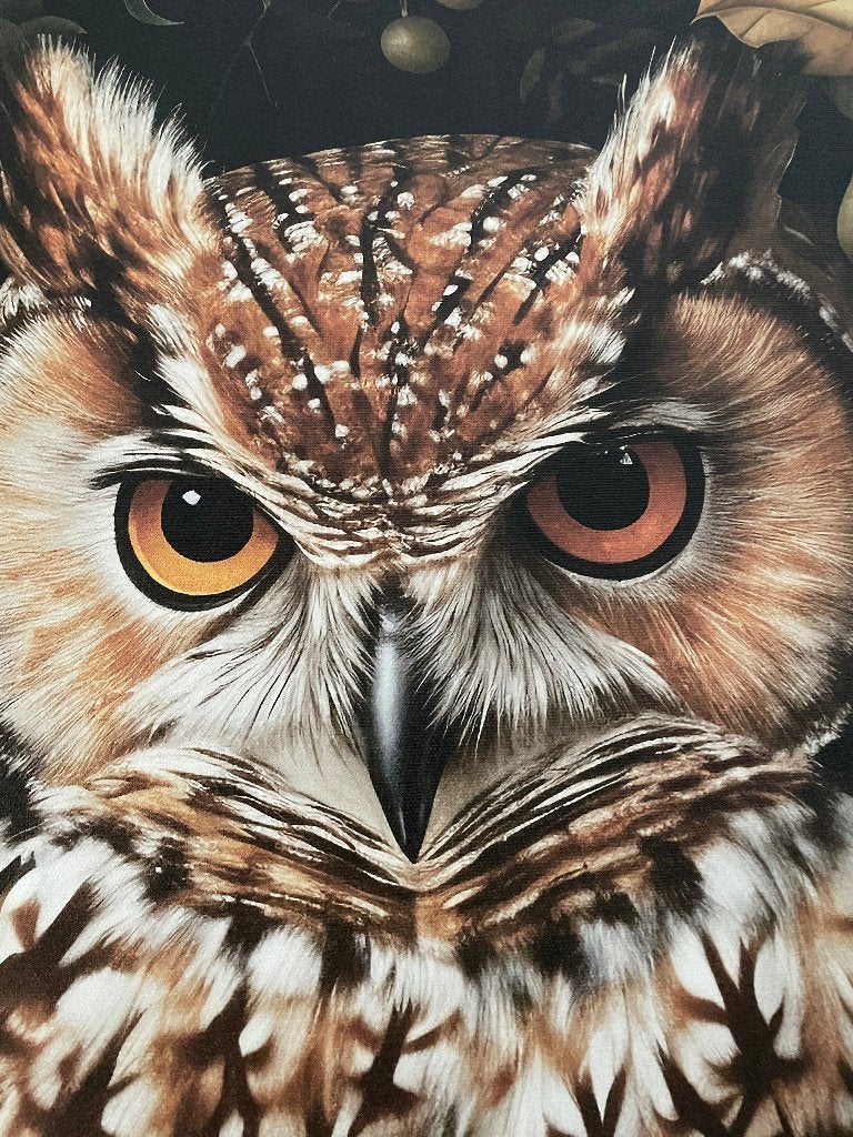 Canvas schilderij - Uil - GROOT 80 x 120 cm, Ophalen, Nieuw, Schilderij, 100 tot 125 cm
